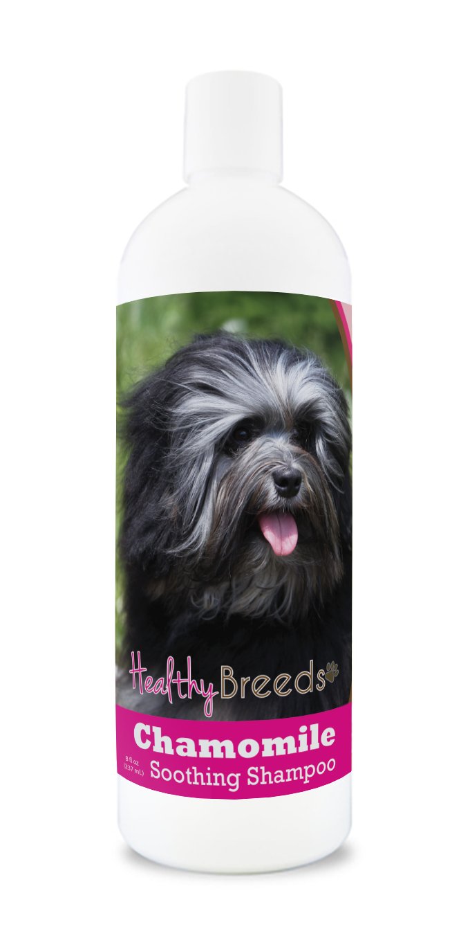 Healthy Breeds Lowchen Chamomile Soothing Dog Shampoo 8 oz