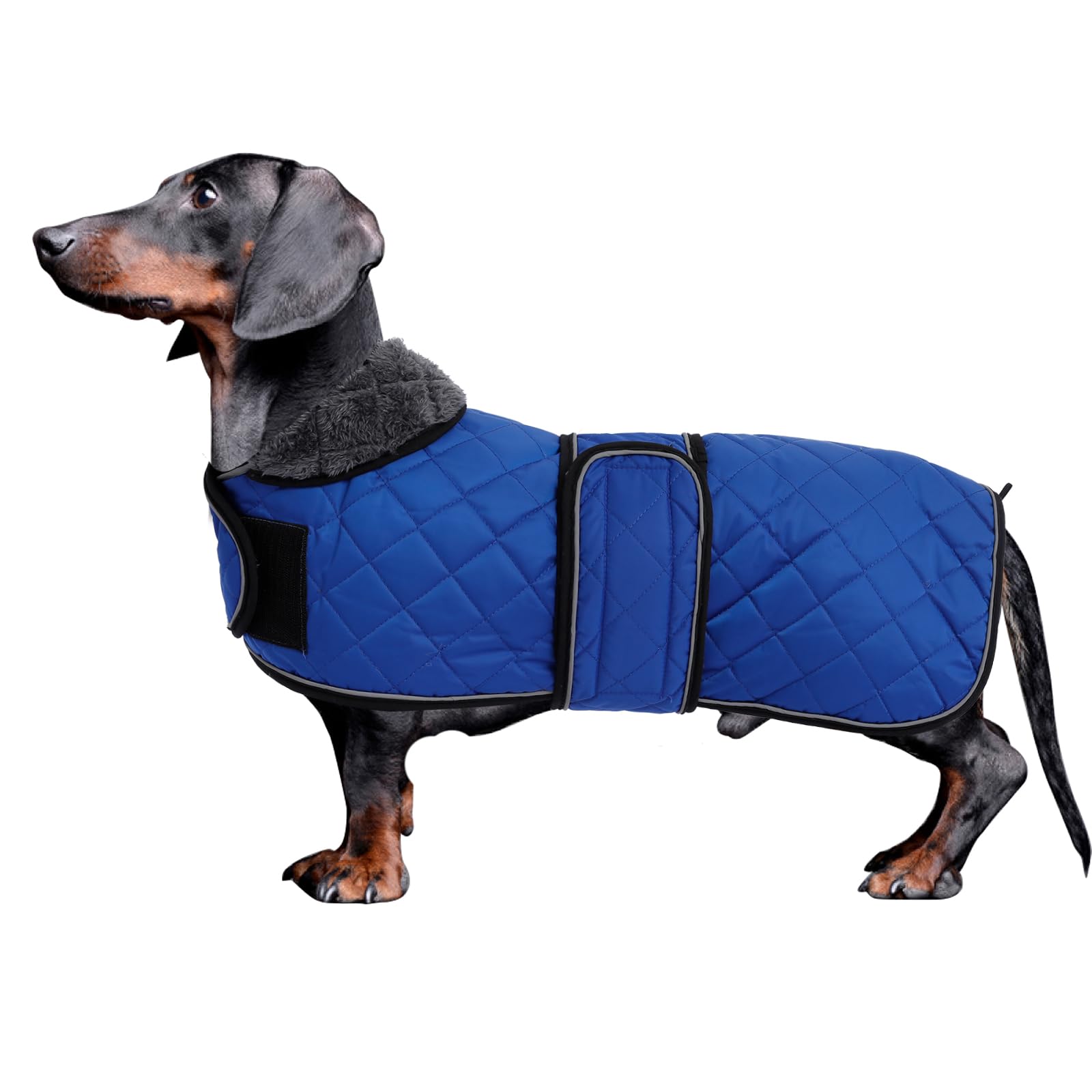 Morezi Dachshund Coats, Dachshund Coat, Coat For Dachshund, Dog Winter Coat With Padded Fleece Lining, Outdoor Dog Apparel With Adjustable Bands - Navy - S