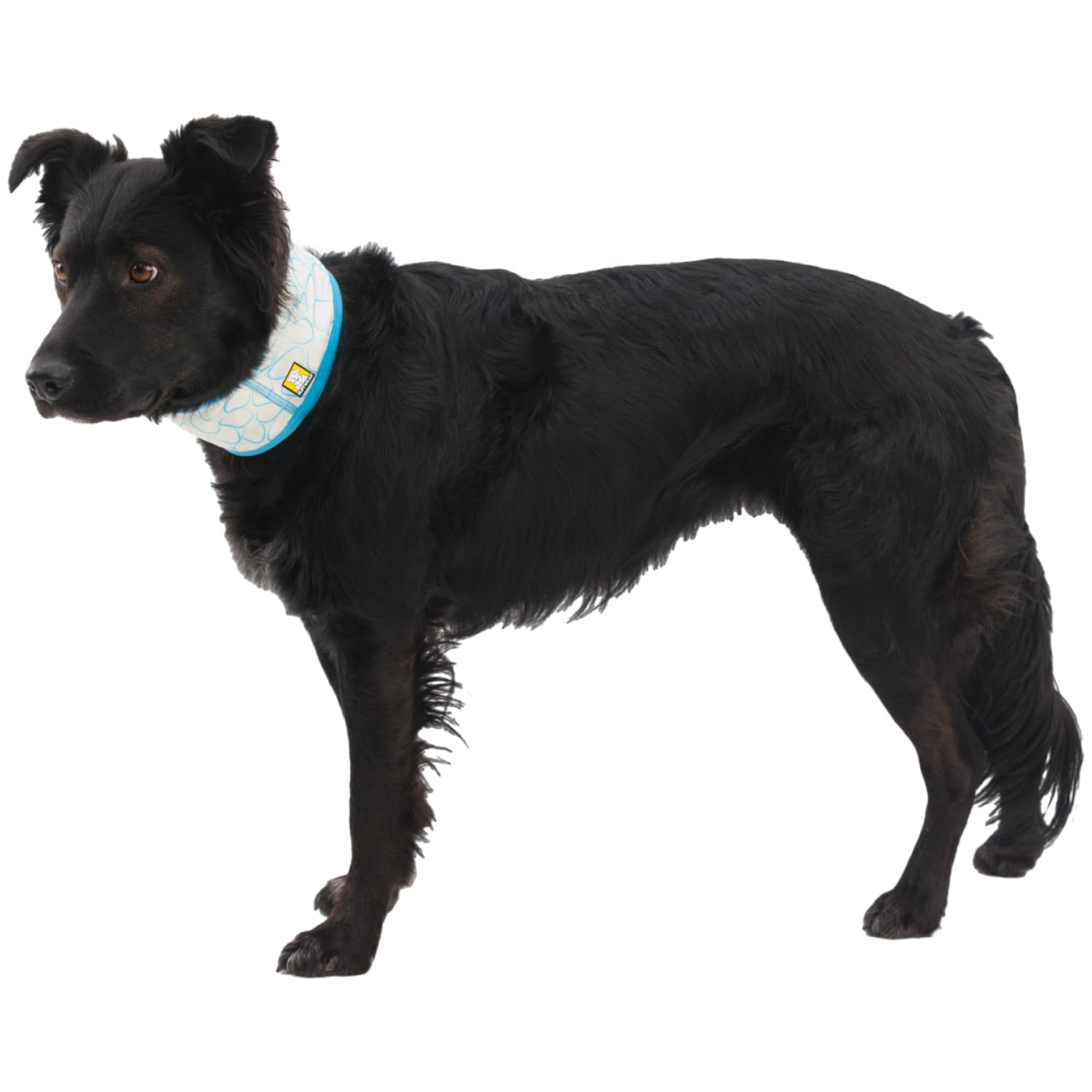 Ruffwear, Swamp Cooler Dog Neck Gaiter, Evaporative Cooling Gear For Hot Weather, Graphite Gray, X-Small