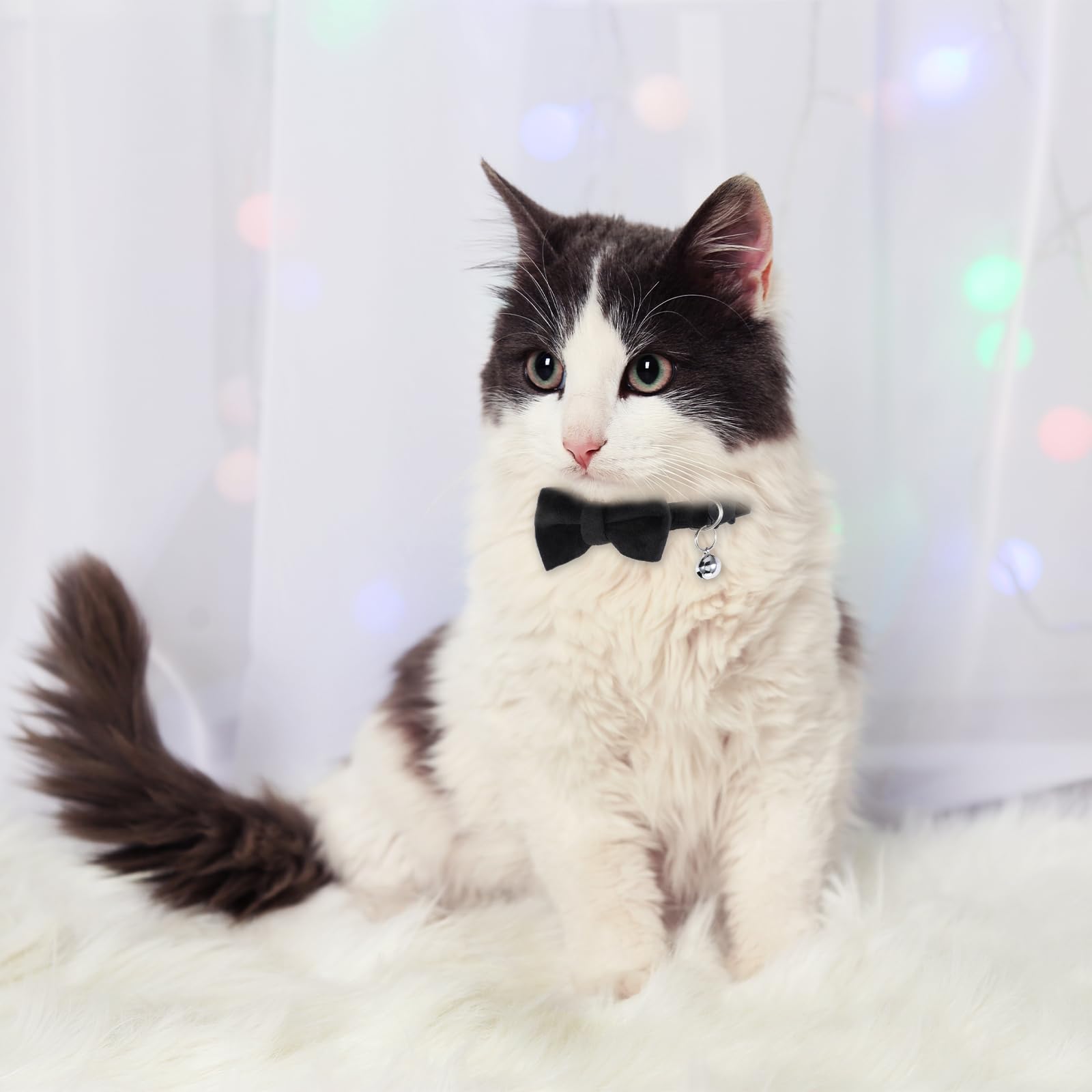 Cat Collars Breakaway With Cute Bow Bell Cat Collars Kitten Small Puppy Safety Bow Tie Basic Color Velvet Kitten Collar Gentleme