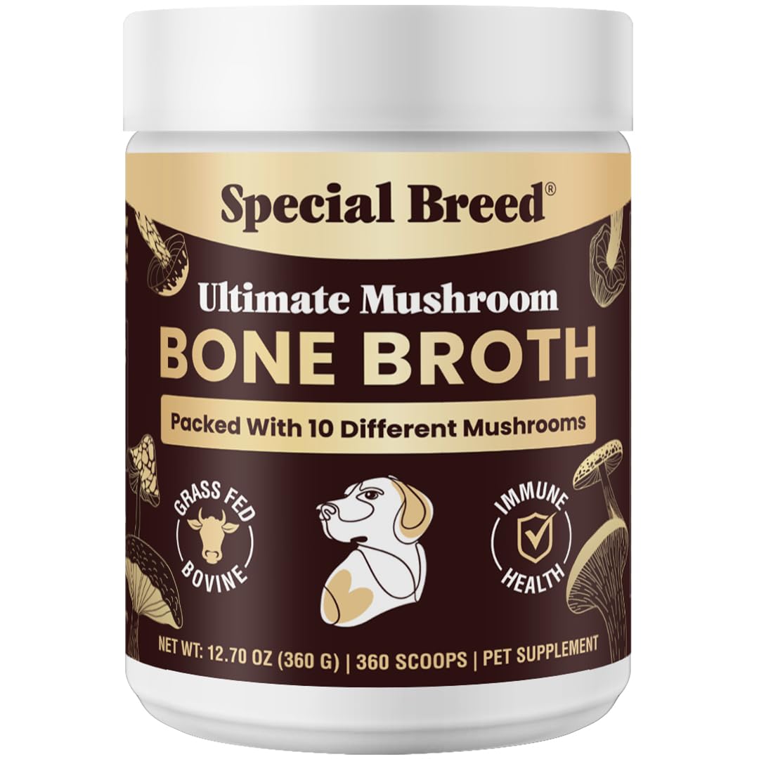 Beef Bone Broth for Dogs - High Protein Powder with Ten Organic Mushrooms & Collagen - Immune, Joint, Digestion & Cognitive Supp