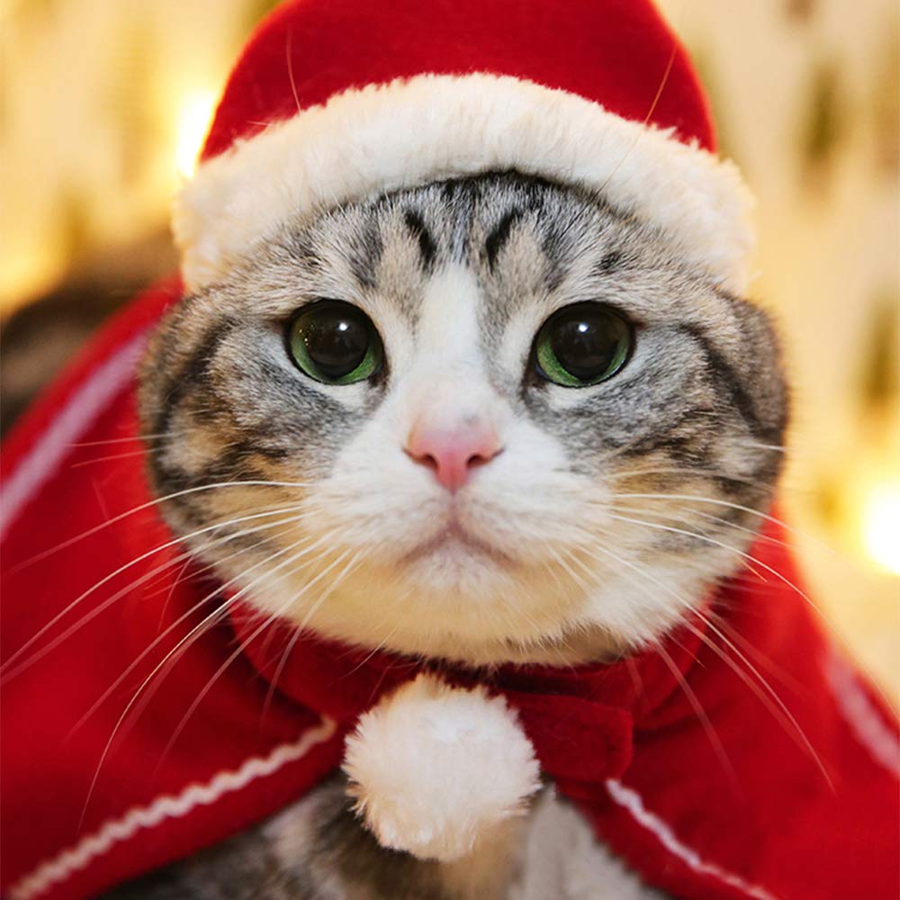 Christmas Cat Plush Santa Hat Cloak Scarf Dog Pet Cosplay Costume Xmas Kitten Puppy Red Caps Collar Manteau Velvet Clothing Clot