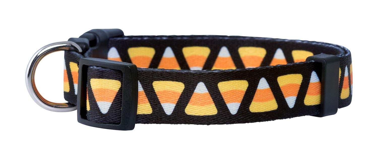 Native Pup Halloween Dog Collar (Large, Candy Corn)