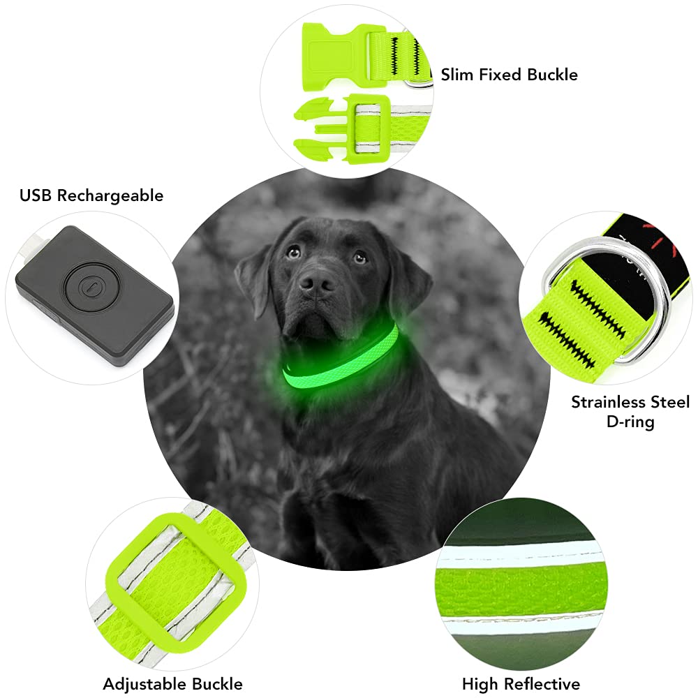 Yfbrite Light Up Dog Collar, Rechargeable Led Dog Collar, Flashing Dog Collar, Adjustable Reflective Dog Collar Safety Glowing At Night (Green, Small)