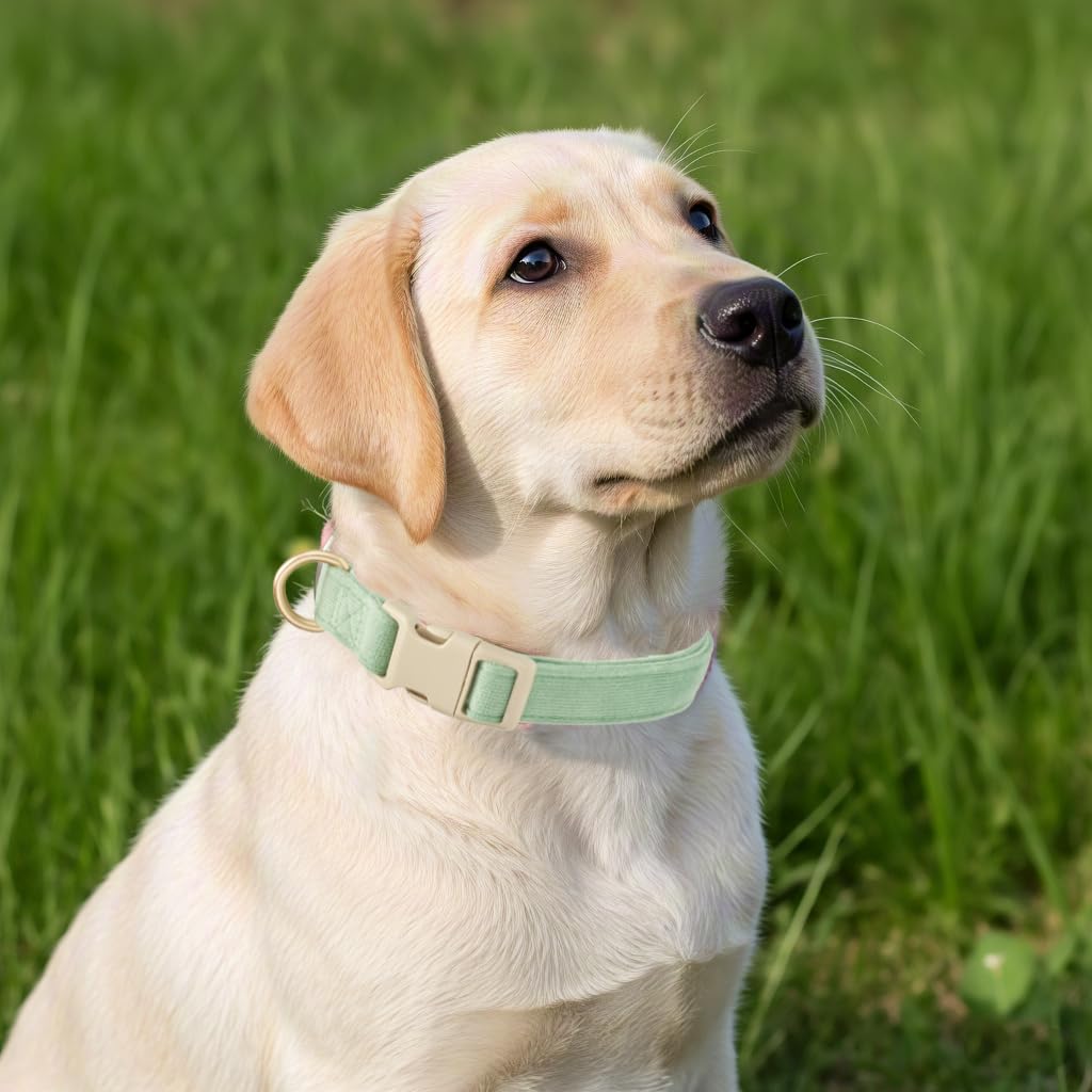 Yudote Soft Cotton Dog Collar Adjustable Corduroy Dog Collars For Small Medium Large Dogs(Grass Green,Large)