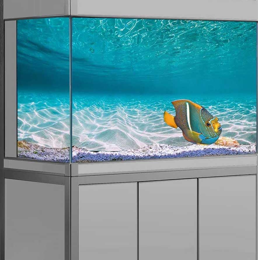 Dtekoj 72X18IN Natural Undersea Aquarium Background, Undersea Beach Fish Tank Background, with 8 EVA Double-Sided Tape