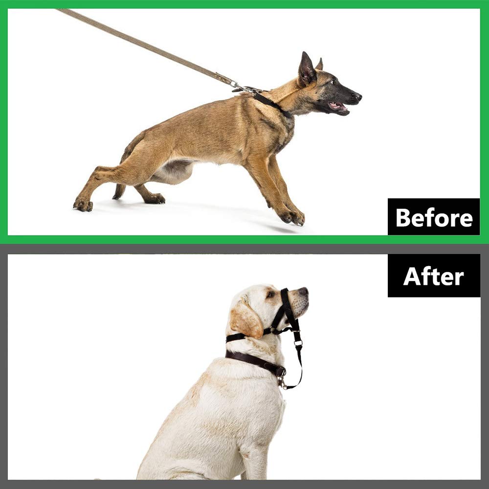 Soft Dog Head Collar, No Pull Training Tool For Small Medium Large Dogs On Walks, Gentle Training Collar And Control For Heavy Pullers, Includes Free Training Guide (M, Blue)