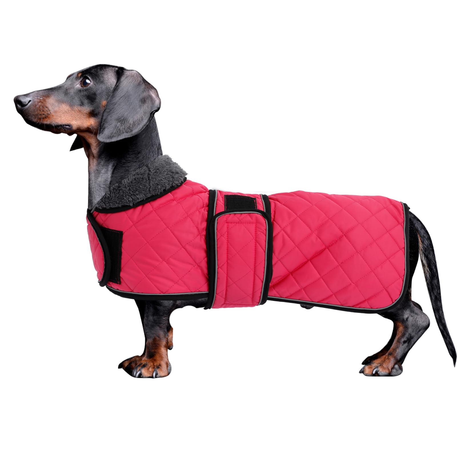 Morezi Dachshund Coats, Dachshund Coat, Coat For Dachshund, Dog Winter Coat With Padded Fleece Lining, Outdoor Dog Apparel With Adjustable Bands - Pink - S