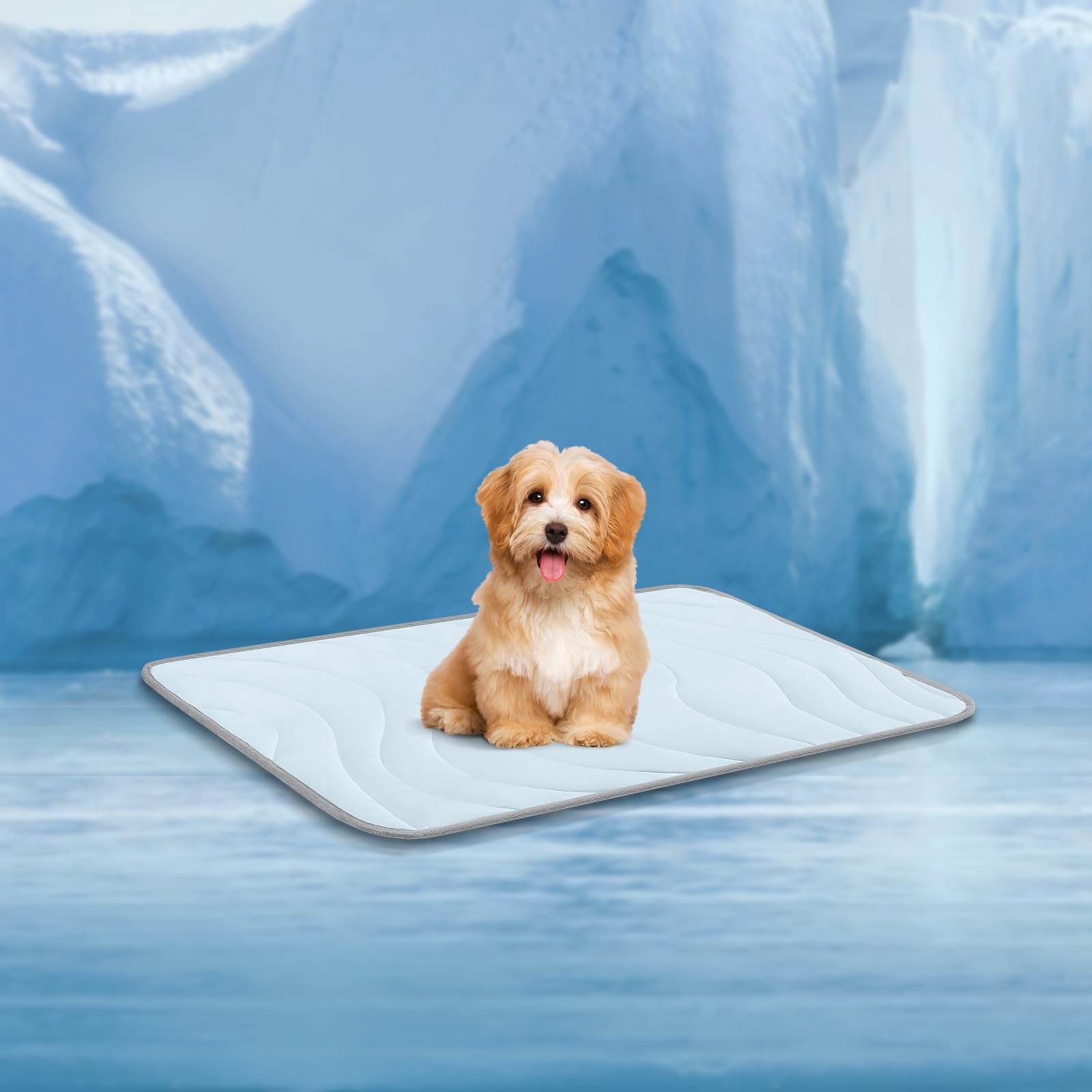 Cozyide Dog Cooling Mat, Small Cooling Mat For Dogs, Reversible Pad For Dog, 28'' L X 22'' W,Ocean Blue