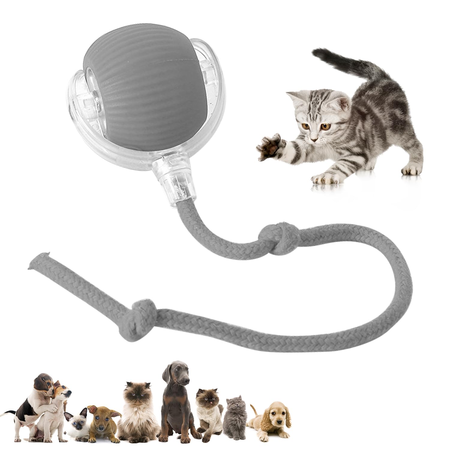 Dvhnmk Chewie Viral Rolling Pet Ball, Interactive Cat & Dog Toy, 360 Smart Automatic Rolling Ball (Grey)