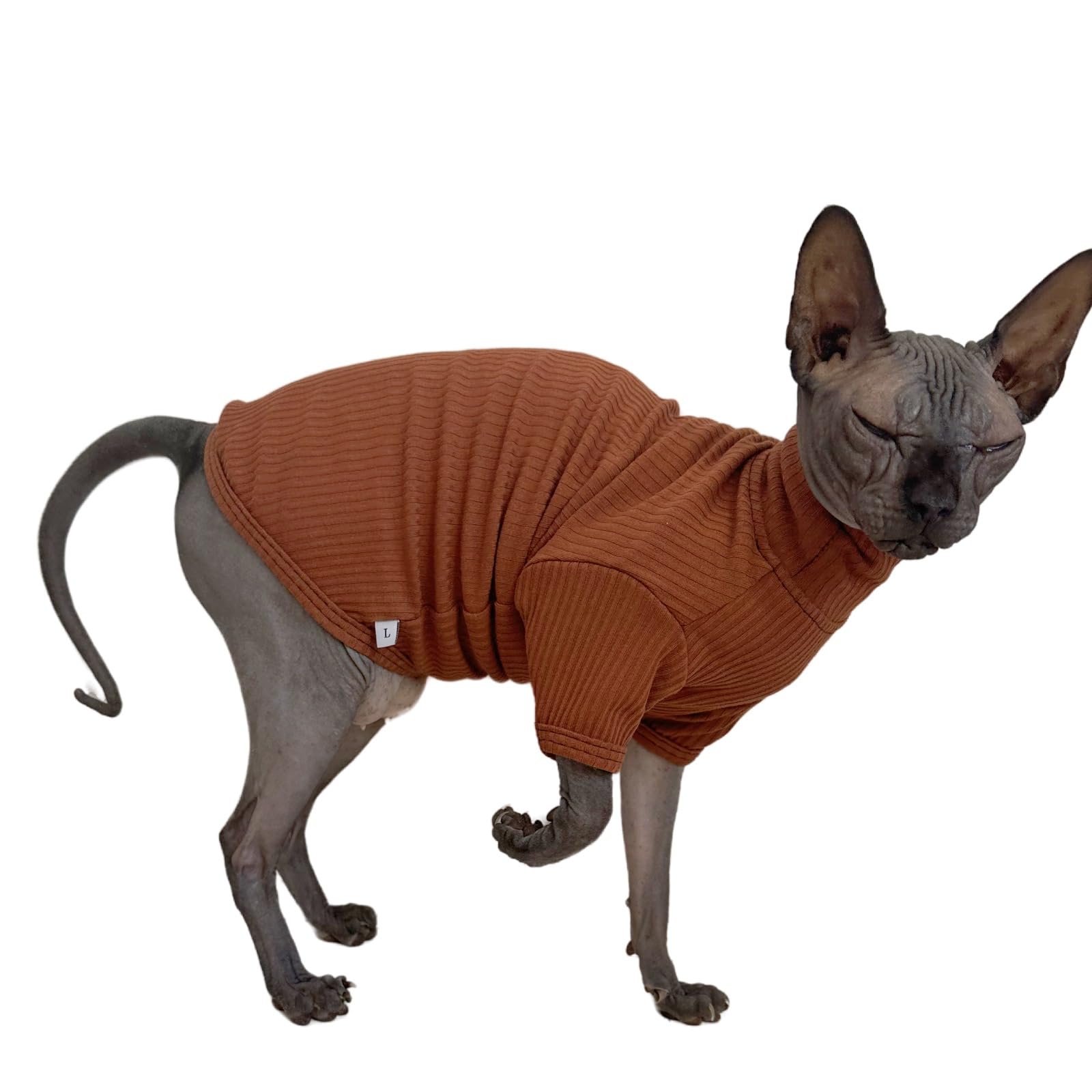 Kitipcoo Sphynx Hairless Cats Shirt Cat Turtleneck Sweater Long Sleeves Kitten T-Shirts For Sphynx Cornish Rex, Devon Rex, Peter
