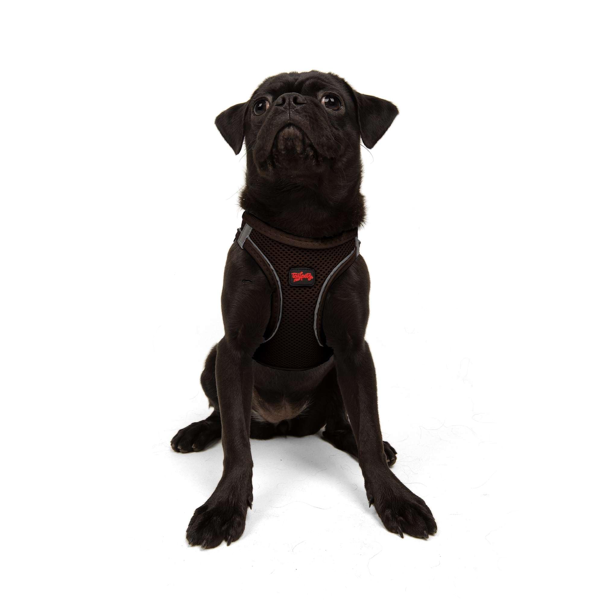 Tailpetz No Pull Step in Dog Harness, Adjustable Reflective Harness for Puppy Training, Medium Size, Brown (M)