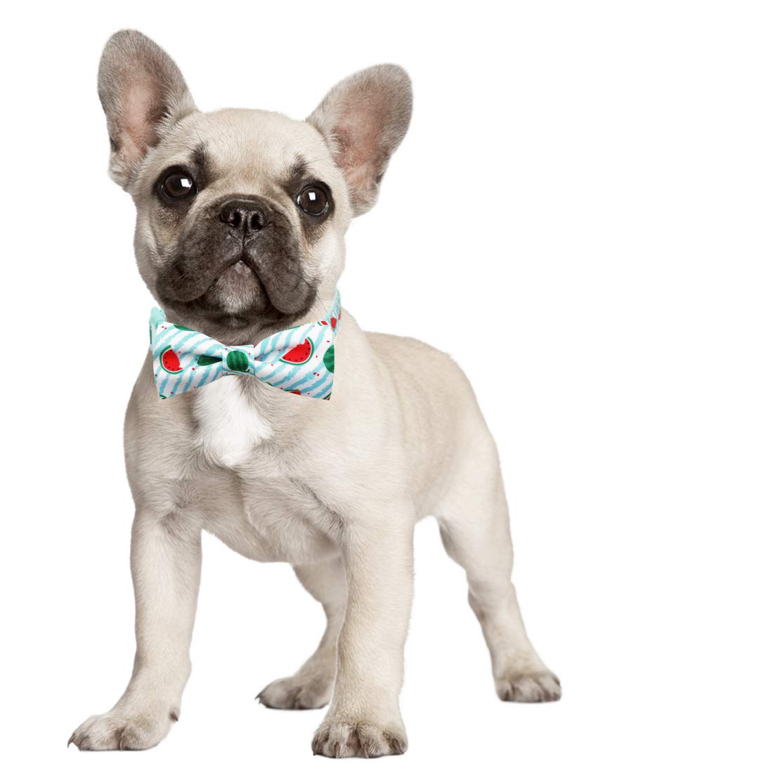 Azuza Bowtie Dog Collar, Stylish And Comfy Watermelon Dog Collar With Bow Tie For Puppy And Small Dogs