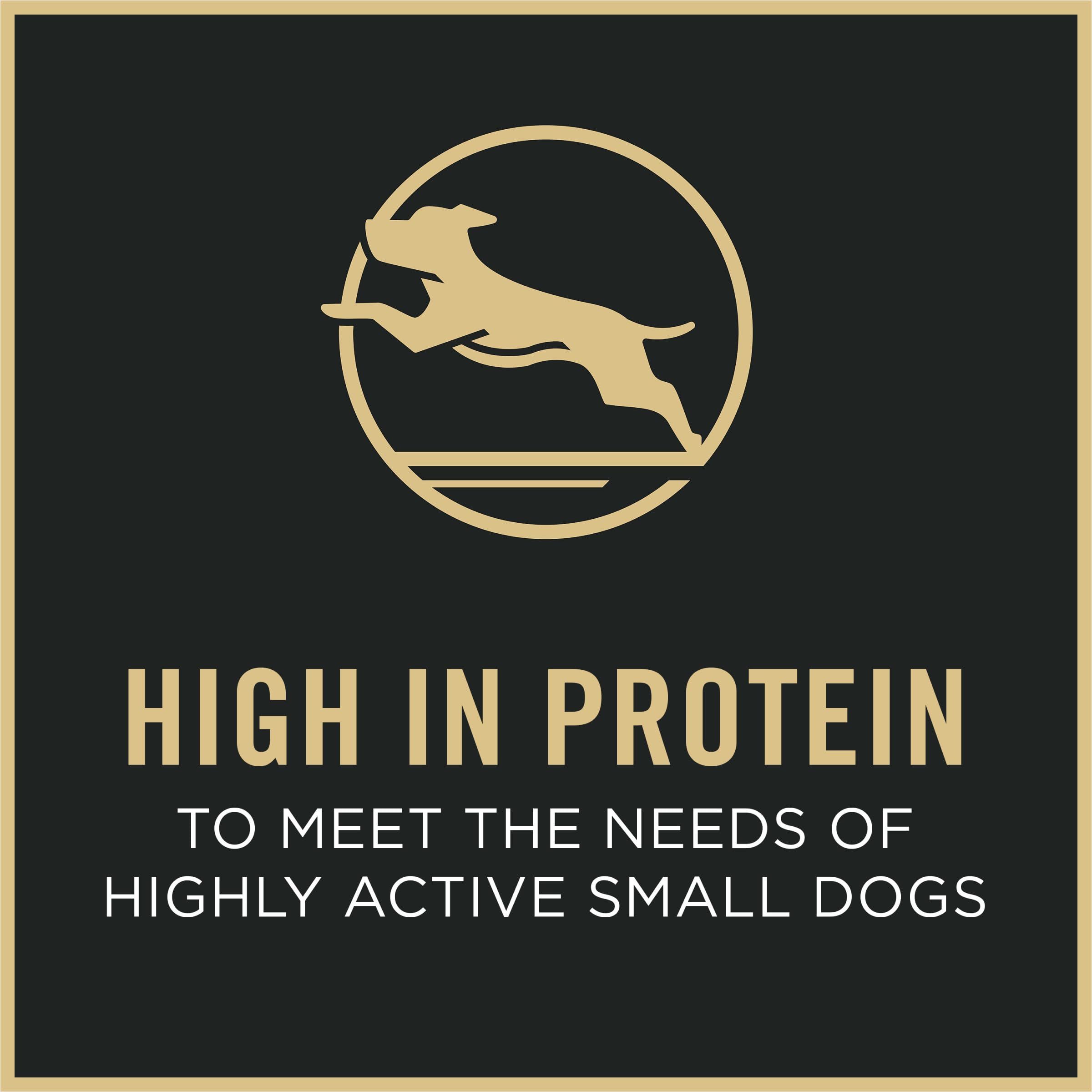 Purina Pro Plan High Protein Small Breed Dog Food, Chicken & Rice Formula - 6 lb. Bag