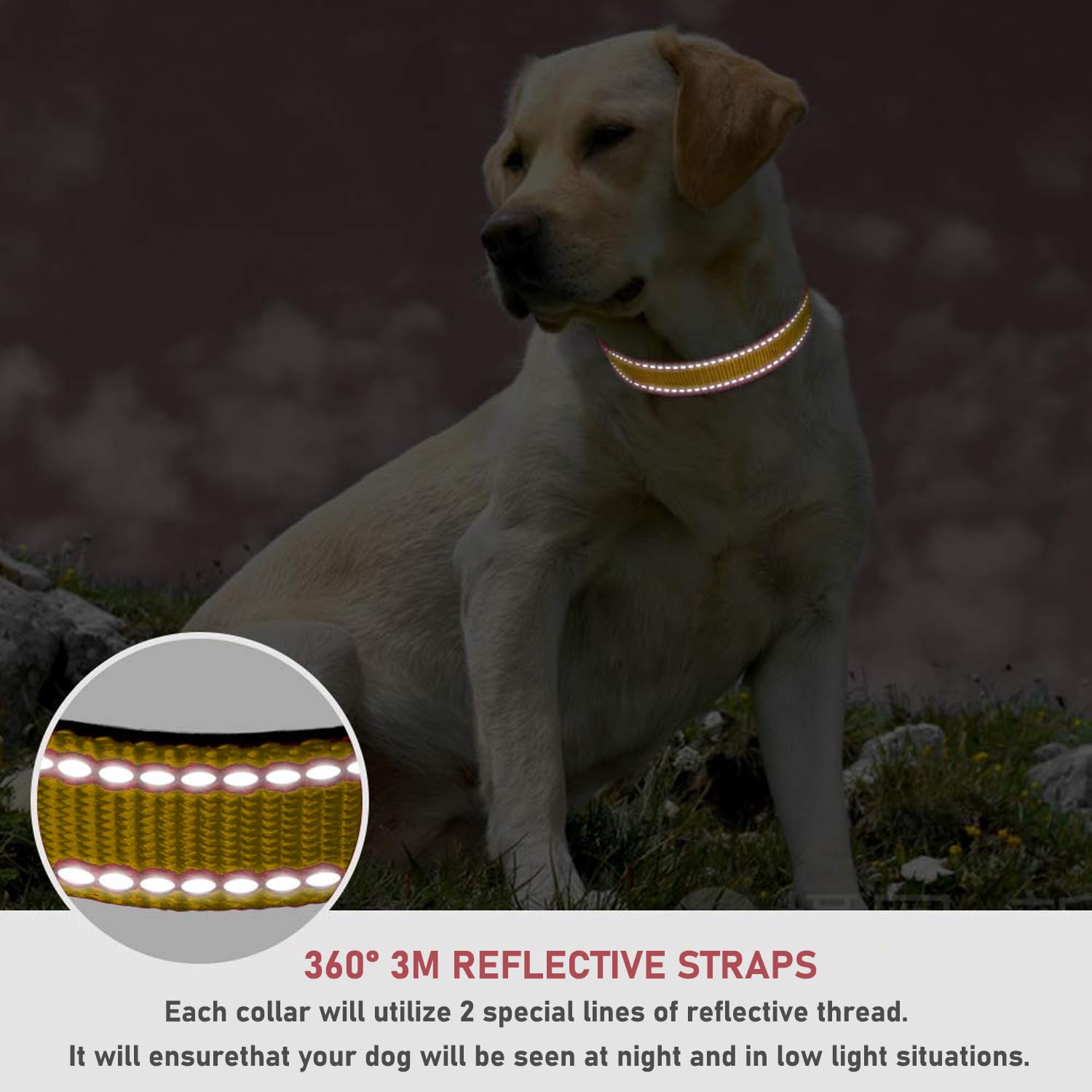 Reflective Dog Collar With Buckle Adjustable Safety Nylon Collars For Small Medium Large Dogs, Brown M