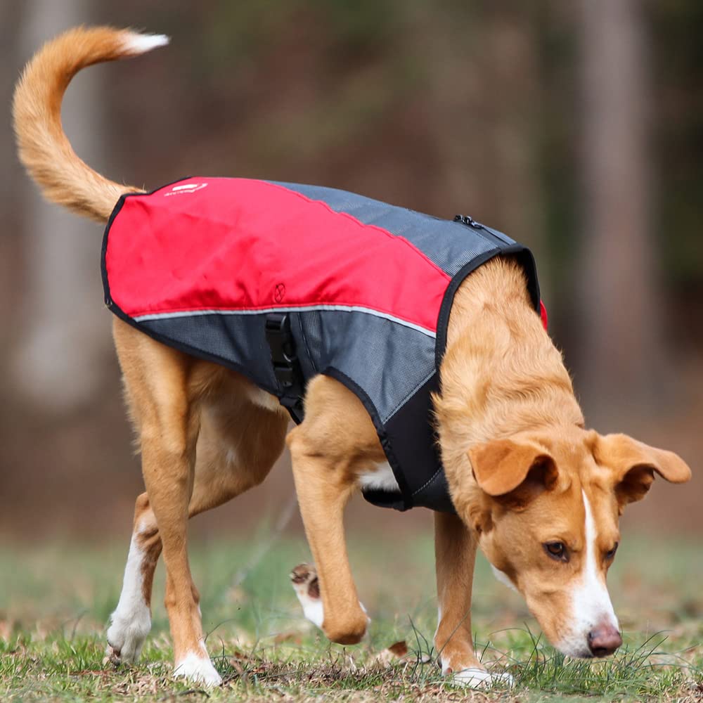 Ezydog Element Best Dog Jacket - Premium Wind And Waterproof Reflective Dog Coat For Safety And Protection - Provides Leash Access To Harness Or Collar (Scarlett, Medium)