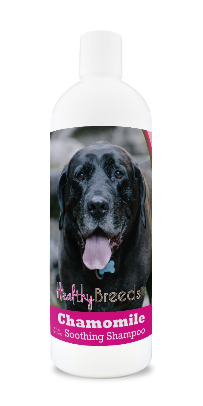 Healthy Breeds Mastador Chamomile Soothing Dog Shampoo 8 oz