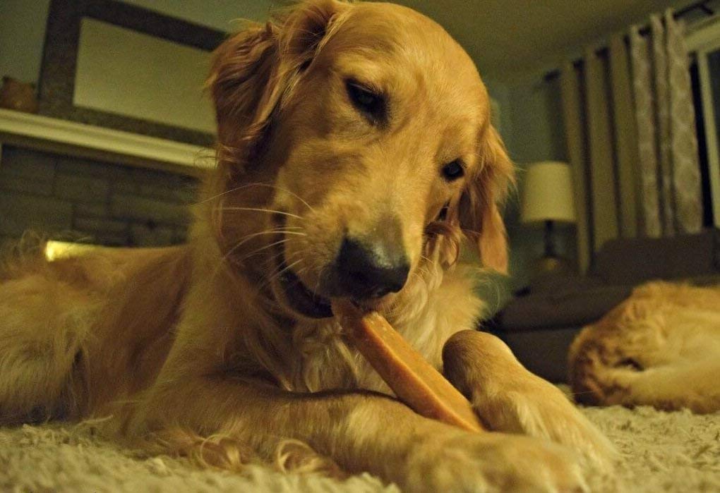 EcoKind Himalayan Yak Cheese Dog Chew | All Natural Premium Dog Treats, Healthy & Safe, Long Lasting, Easily Digestible, for All