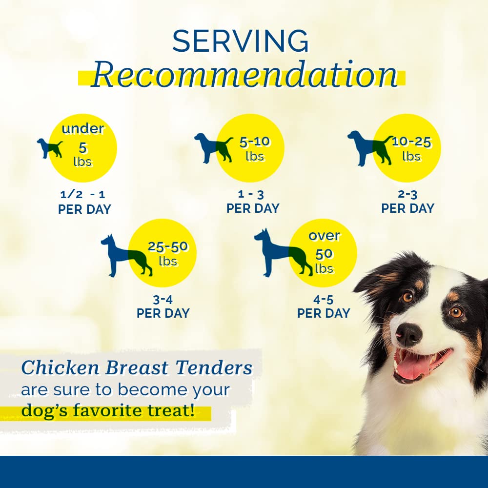 Pet Center Dpc88454 Chicken Breast Tenders Dog Treat, 1-Pound