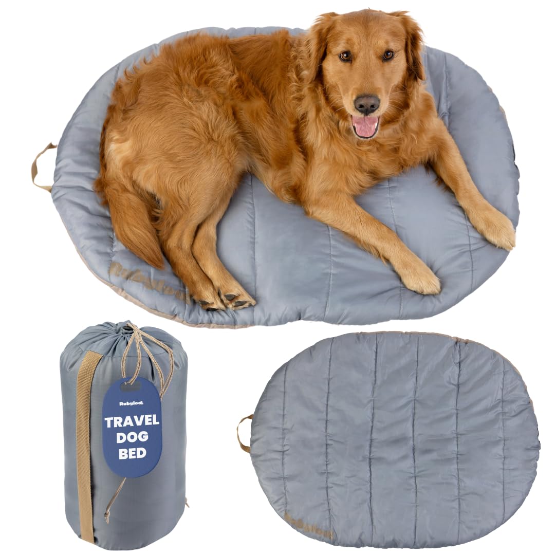 Travel Dog Bed (42 x 30) - Foldable, Roll-Up Camping Dog Bed - Water Resistant, Soft & Durable Mat with Extra Padding - Compact 