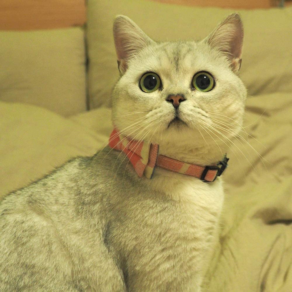 Cat Collar Breakaway With Bell And Bow Tie, Plaid Design Adjustable Safety Kitty Kitten Collars(6.8-10.8In)(Pink Plaid 2)