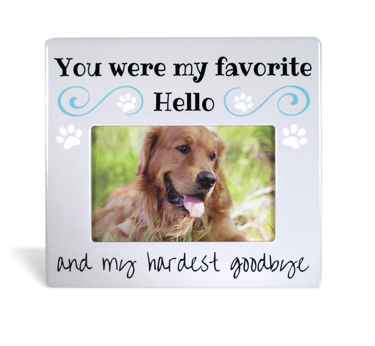 Banberry Designs Pet Remembrance Gift - Pet Memorial Picture Frame - Bereavement Photo Frame For Dog Or Cat - You Were My Favori