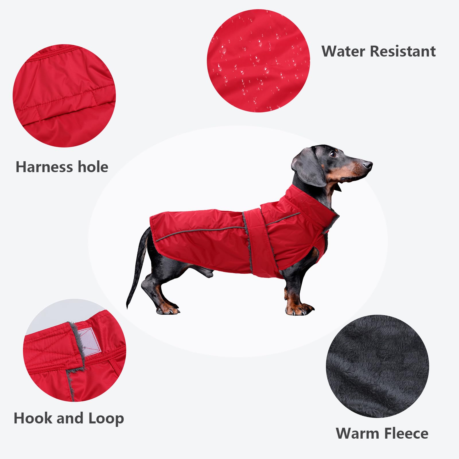 Dachshund Coat Waterproof, Perfect For Dachshund Sausage, Puppy Winter Jacket With Padded Fleece Lining, Outdoor Dog Clothing With Adjustable Bands And Underbelly Protection - Red - S