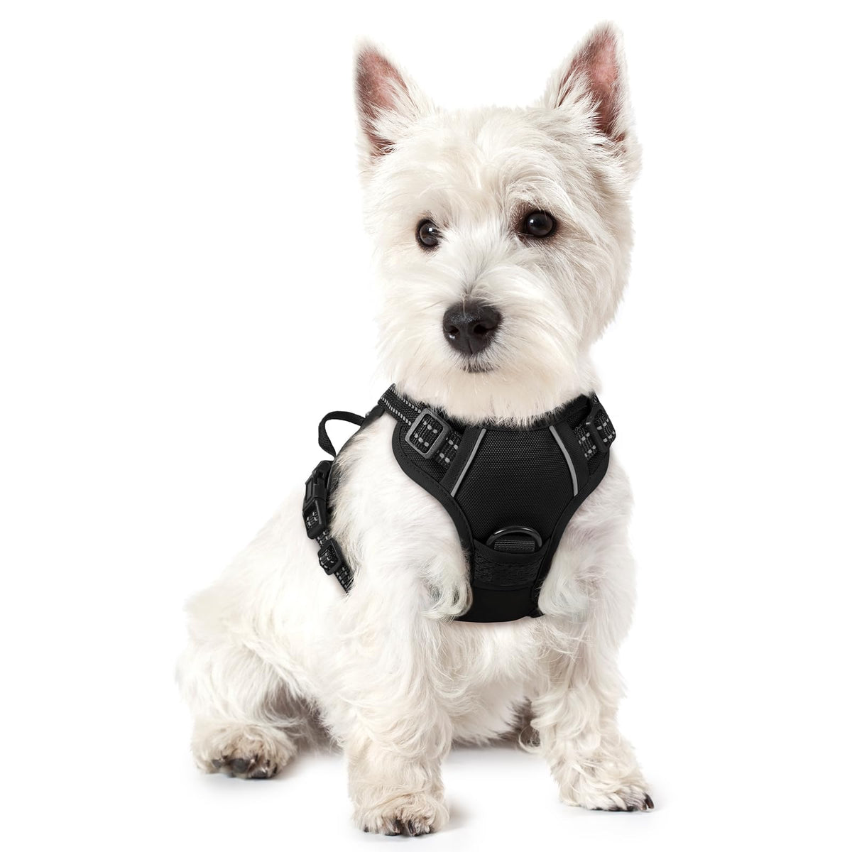 Rabbitgoo Dog Harness No Pull With 2 Leash Clips, Adjustable Soft Padded, Reflective Oxford No Choke Pet Vest With Easy Control Handle For Puppy, Black, Xs