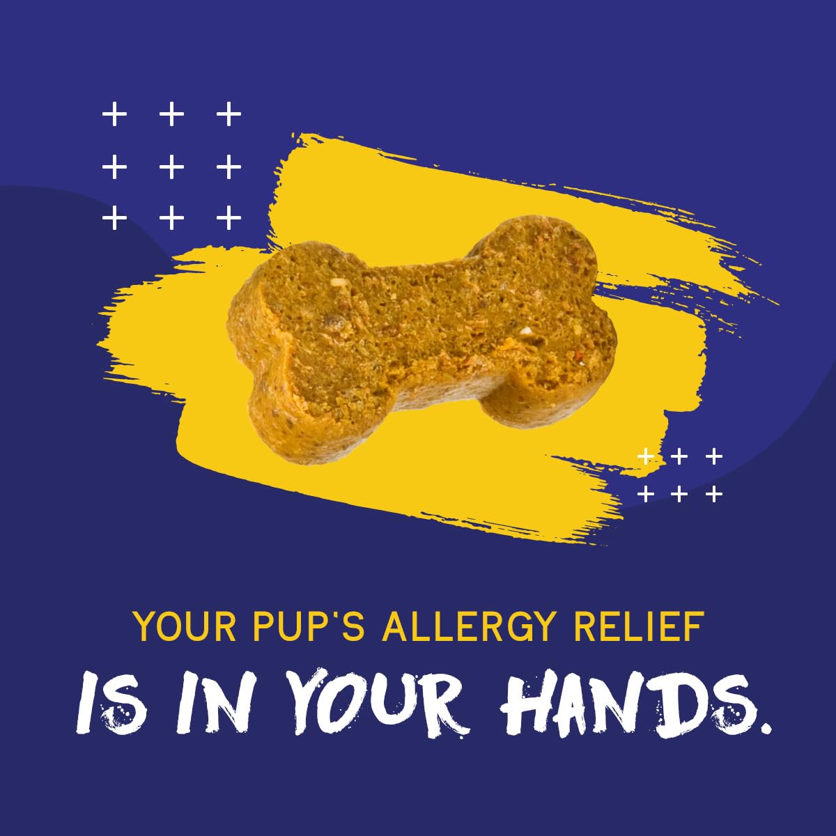 PupGrade Itch & Allergy Chew Supplement for Dogs Improved Immune Support & Seasonal Allergies with Alaskan Salmon Fish Oil - Hel