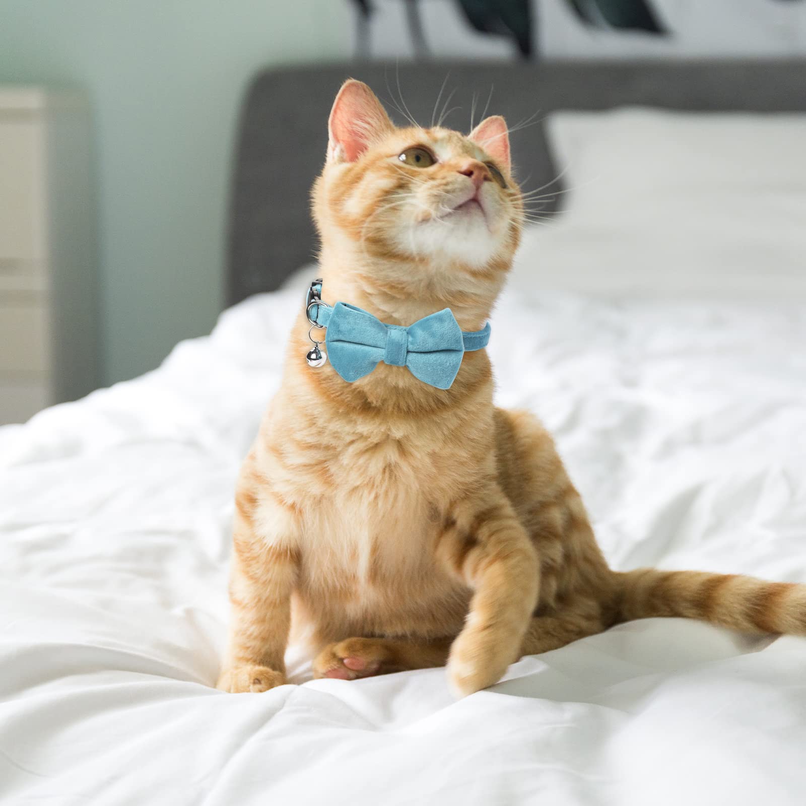 2 Pcs Velvet Cat Bow Tie Collar Breakaway Cat Collar With Bell Adjustable Bowtie Kitten Small Puppy Safety Collar Solid Color Se