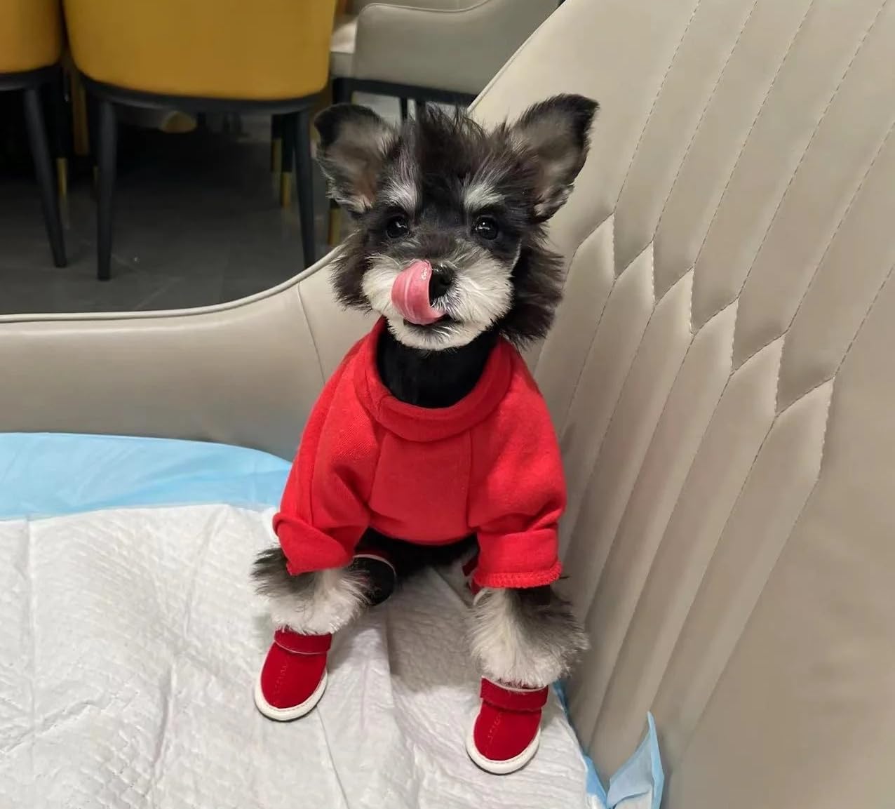 Anhome 2 Pieces Dog Sweater For Small Dogs & Puppies, Soft & Warm, Red & Blue, Small