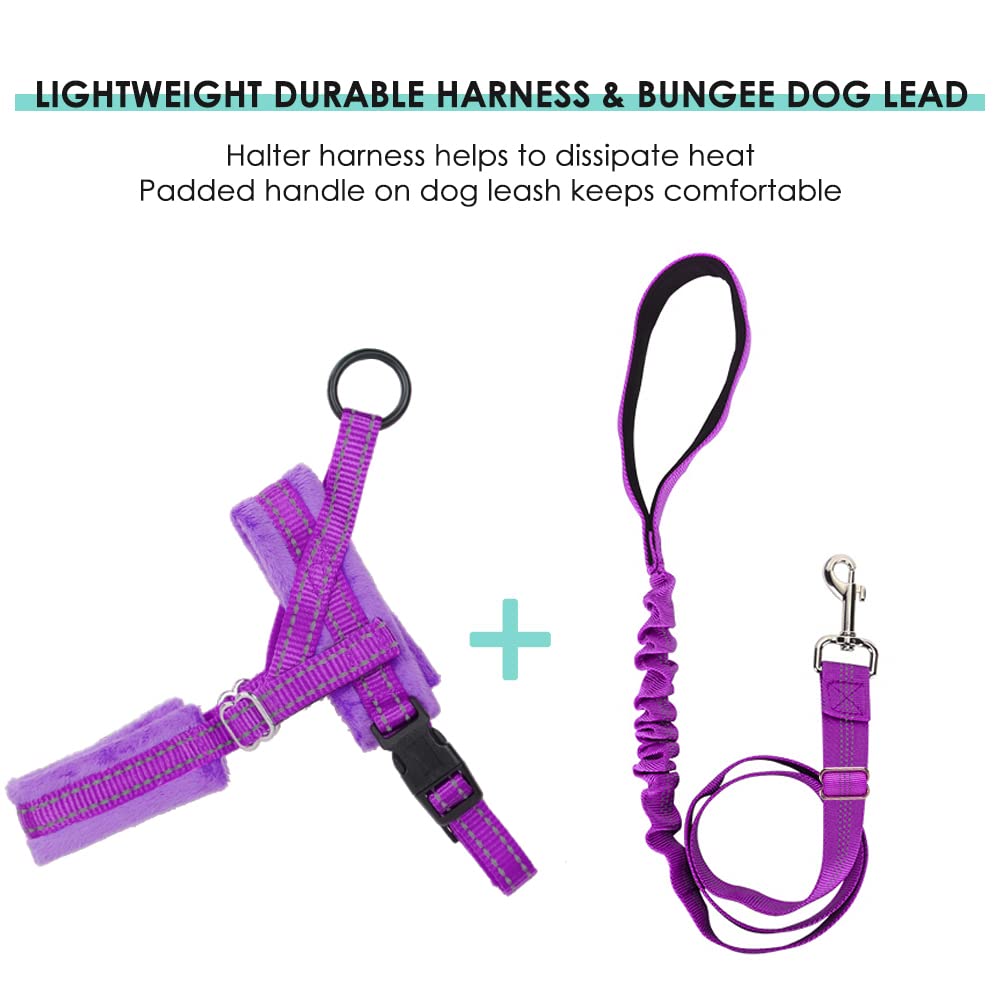 Lukovee Walking Dog Harness And Leash, Heavy Duty Adjustable Puppy Harness Soft Padded Reflective Vest Harness Anti-Twist 4Ft Pet Lead Quick Fit Lightweight For Small Dog Cat (X-Small, Purple)