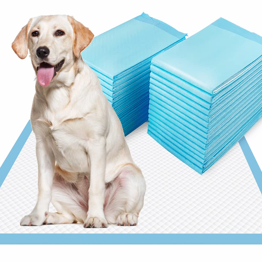 Dogcator XL Puppy Pads 40 Count, Thicken Pee Pads for Dogs, 28x34 Dog Pee Pads Extra Large, Disposable Urine Bed Pads for Doggy,
