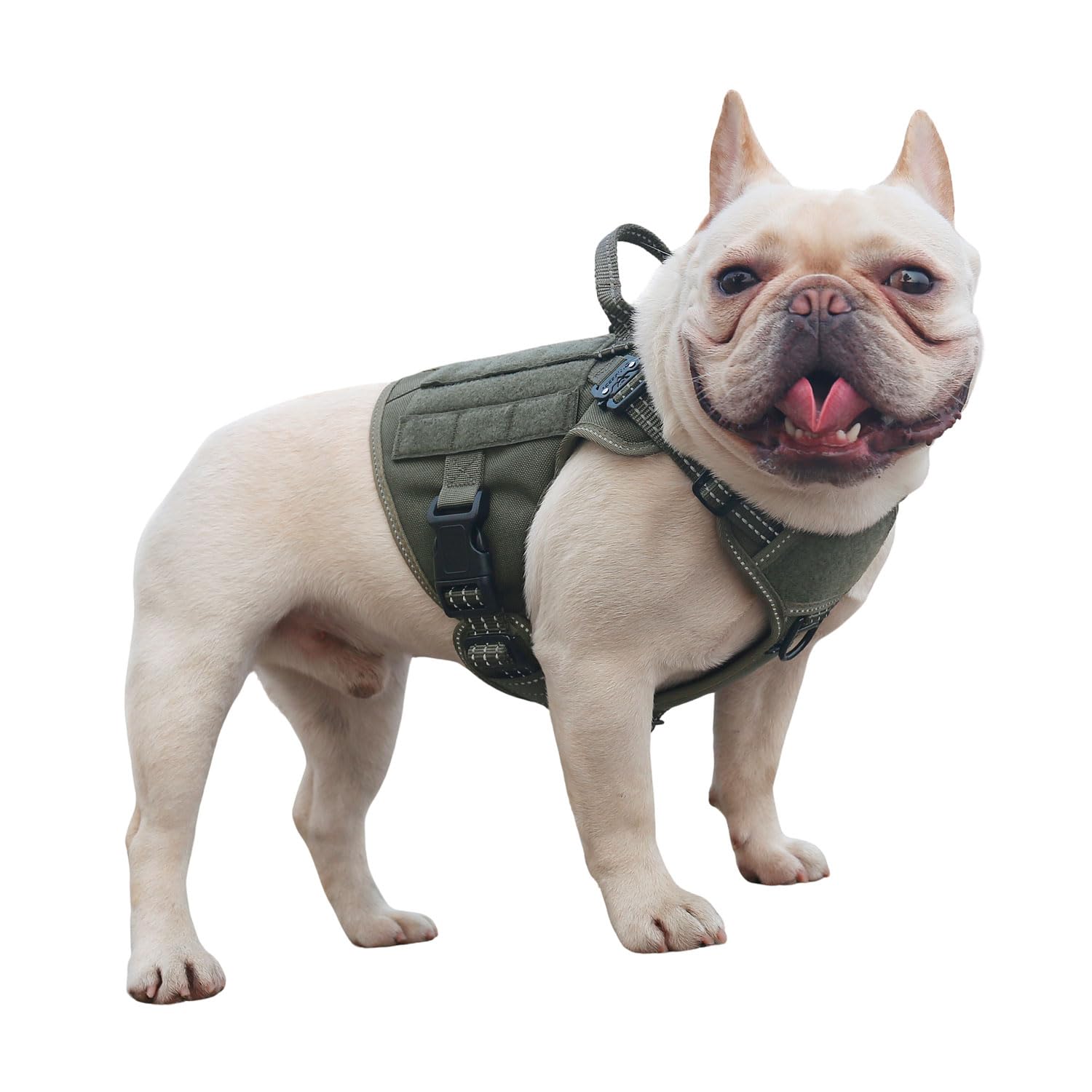 Icefang Tactical Dog Harness,2X Metal Buckle,Working Dog Molle Vest With Handle,No Pulling Front Leash Clip,Hook And Loop Panel