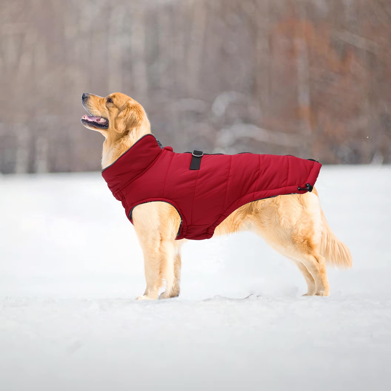 Geyecete Dog Winter Warm Coat Dog Winter Jacket Windproof Snowproof,Pet Outdoor Jacket Dog Jacket For Small Medium Large Dogs-Red-M