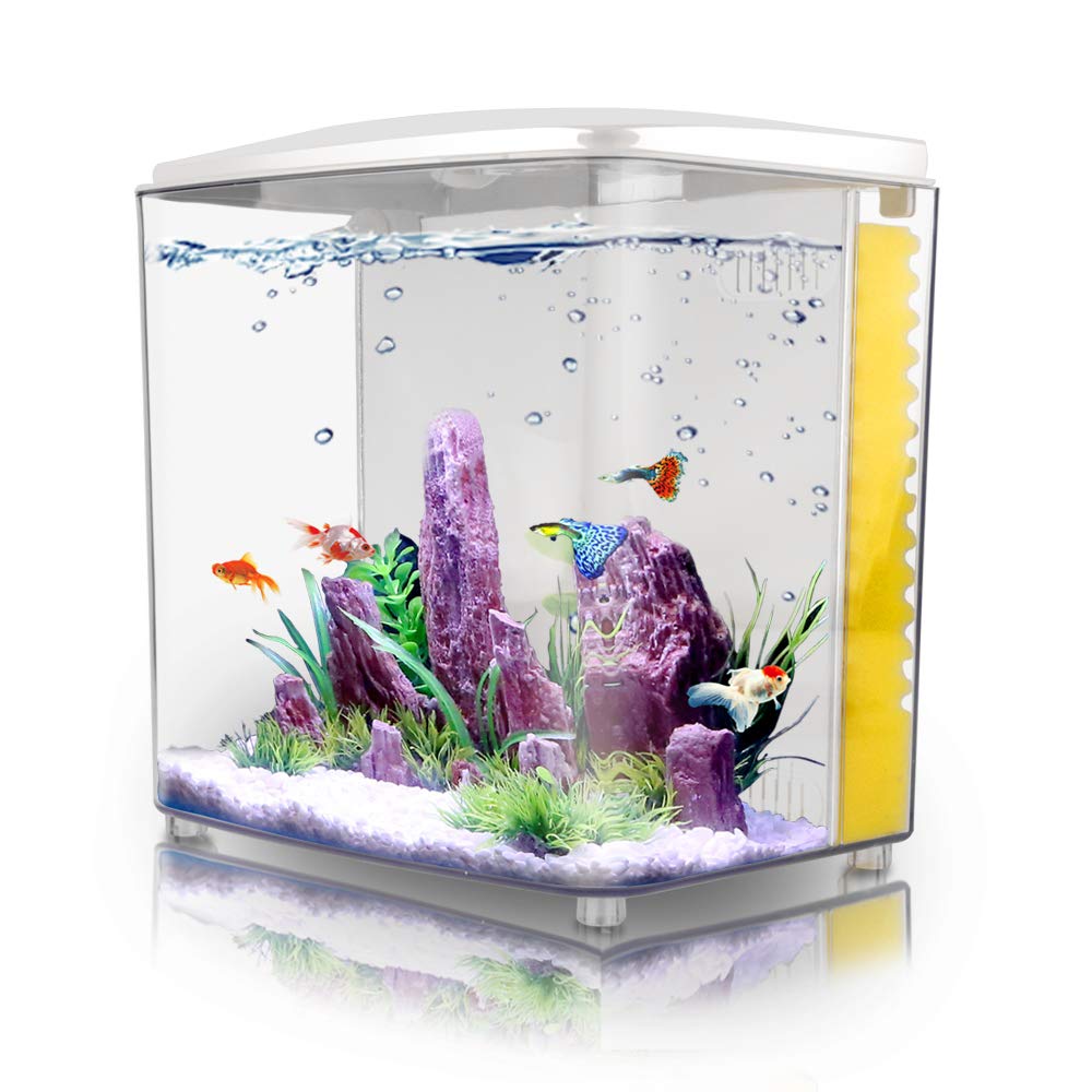 1.2Gallon Betta Aquarium Starter Kits Square Fish Tank With Led Light And Filter Pump