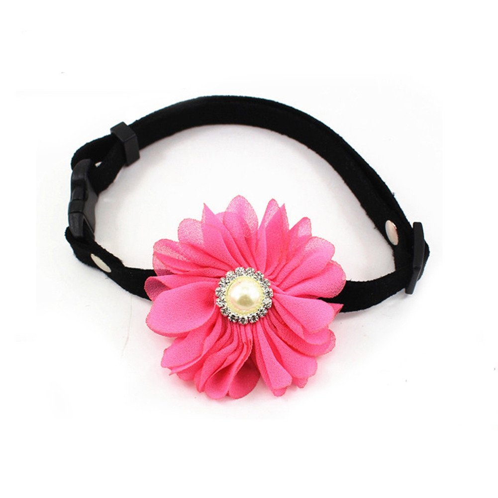 PETFAVORITES Designer Rhinestones Daisy Flower Charm Suede Leather Pet Cat Dog Bow Tie Collar Necklace with Pearl for Pets Cats 