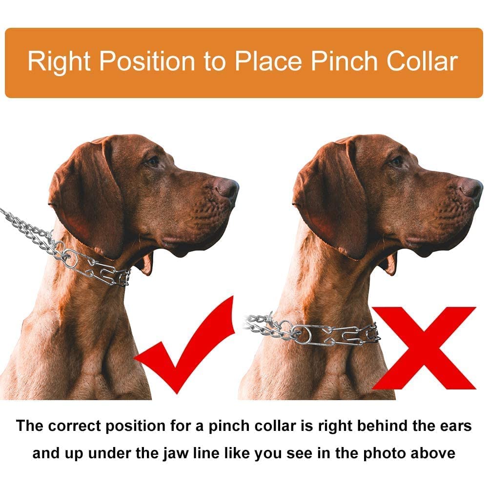 Cbbpet Dog Prong Collar, Adjustable Dog Training Collar With Quick Release Buckle For Small Medium Large Dogs (Silver, L/3.5Mm N