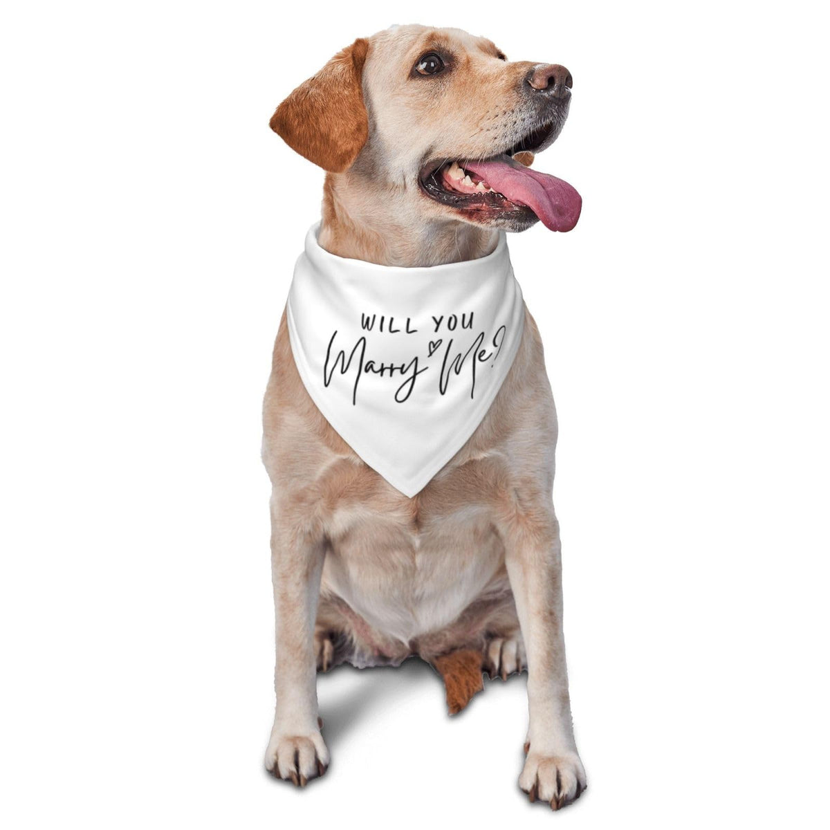 Vercosee Will You Marry Me? Wedding Engagement,Announcement,Marriage Proposal Dog Bandana, Pet Accessories For Dog Lovers,Wedding Photo Props Accessories (White)