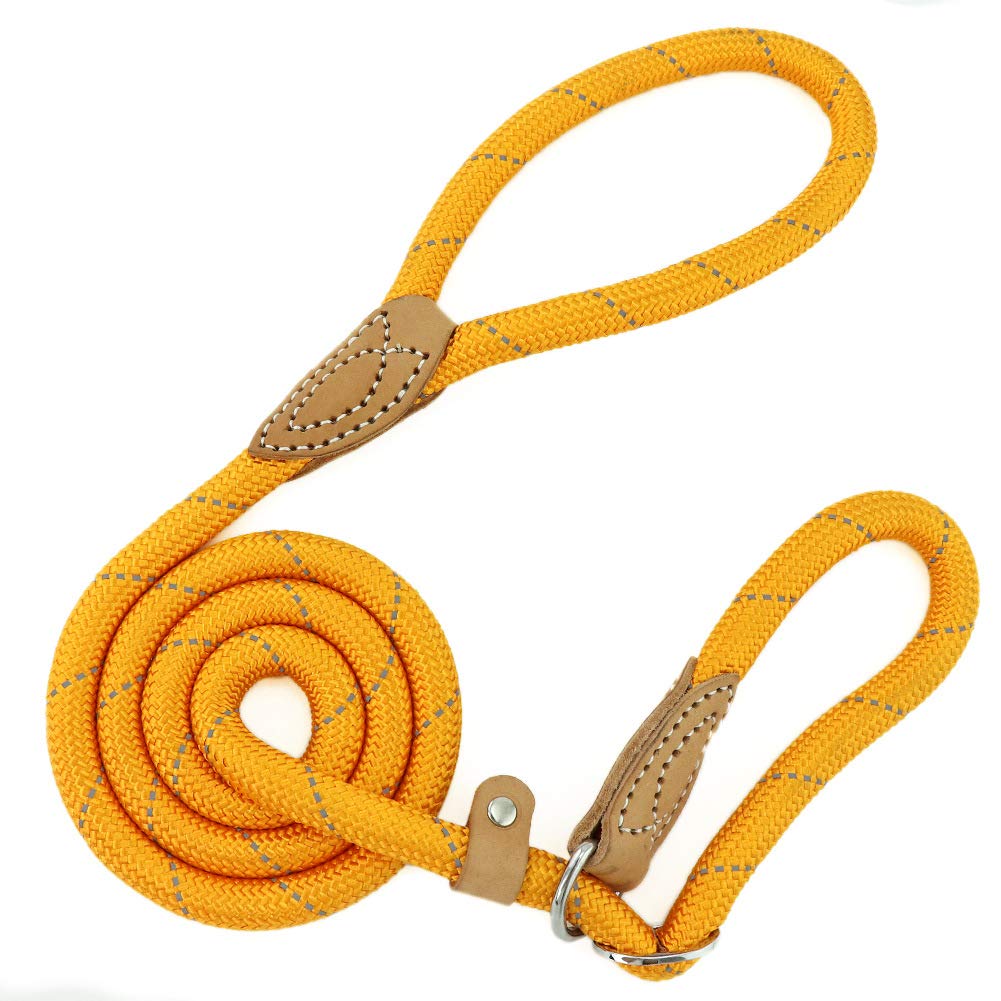 Grand Line Slip Lead Dog Leash, 5Ft Reflective Slip Rope, Puppy Training Walking Controlling Lead, Slip Collar Pet Leash For Small, Medium, Large Dogs (Orange, Medium-2/5In X 5Ft)