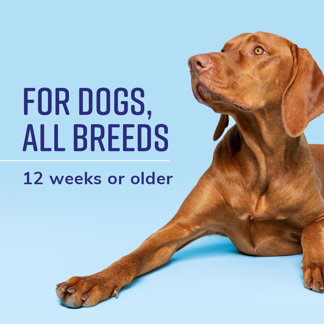 Naturel Promise Fresh & Soothing Lavish 4-In-1 Shampoo + Conditioner For Pets, 22Oz