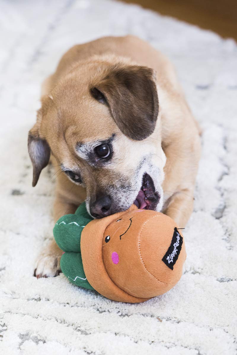 Fun Dog Toy
