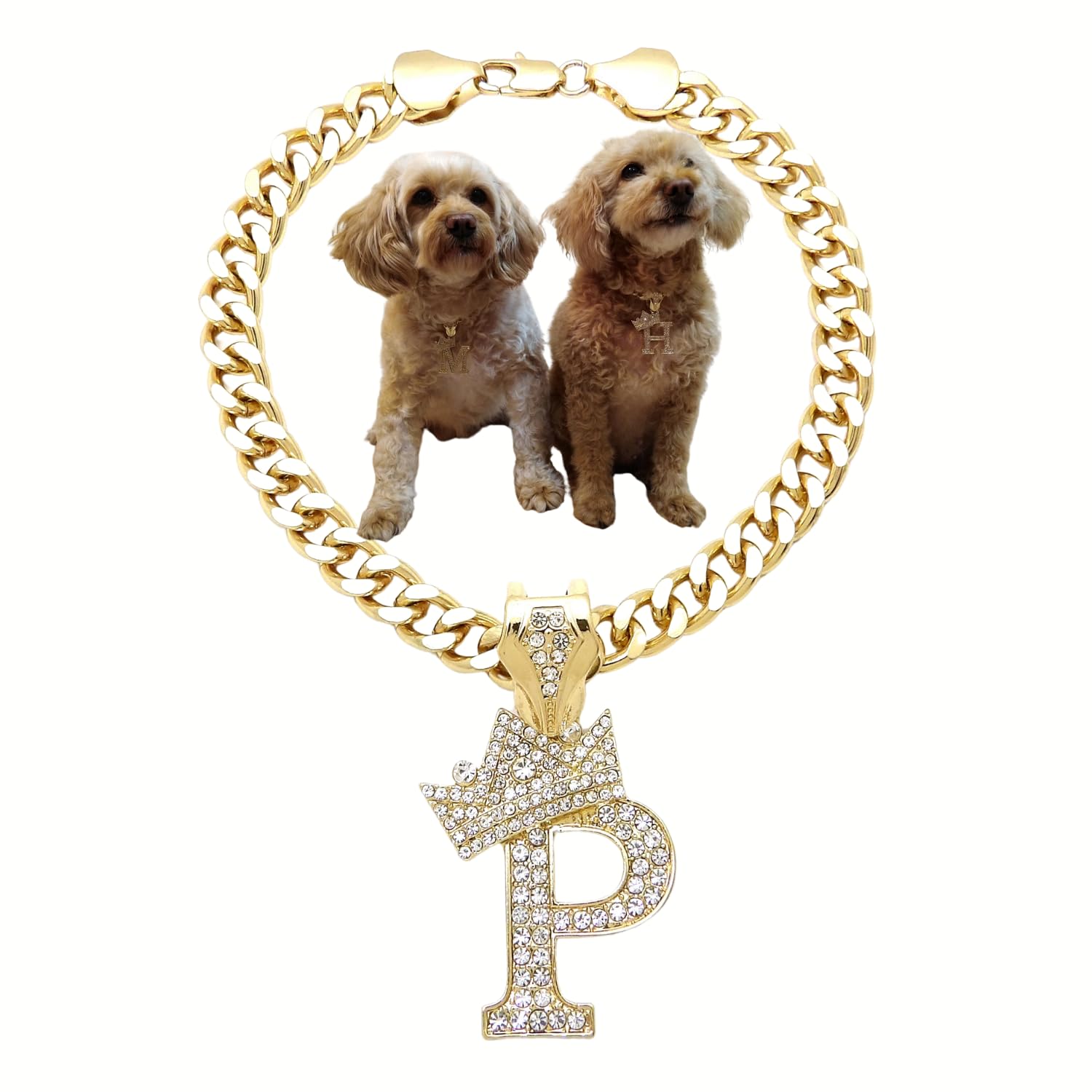Initial Letter Cuban Chain Dog Chain Pet Chain Pet, Cat, Puppy Necklace (P, 20'')