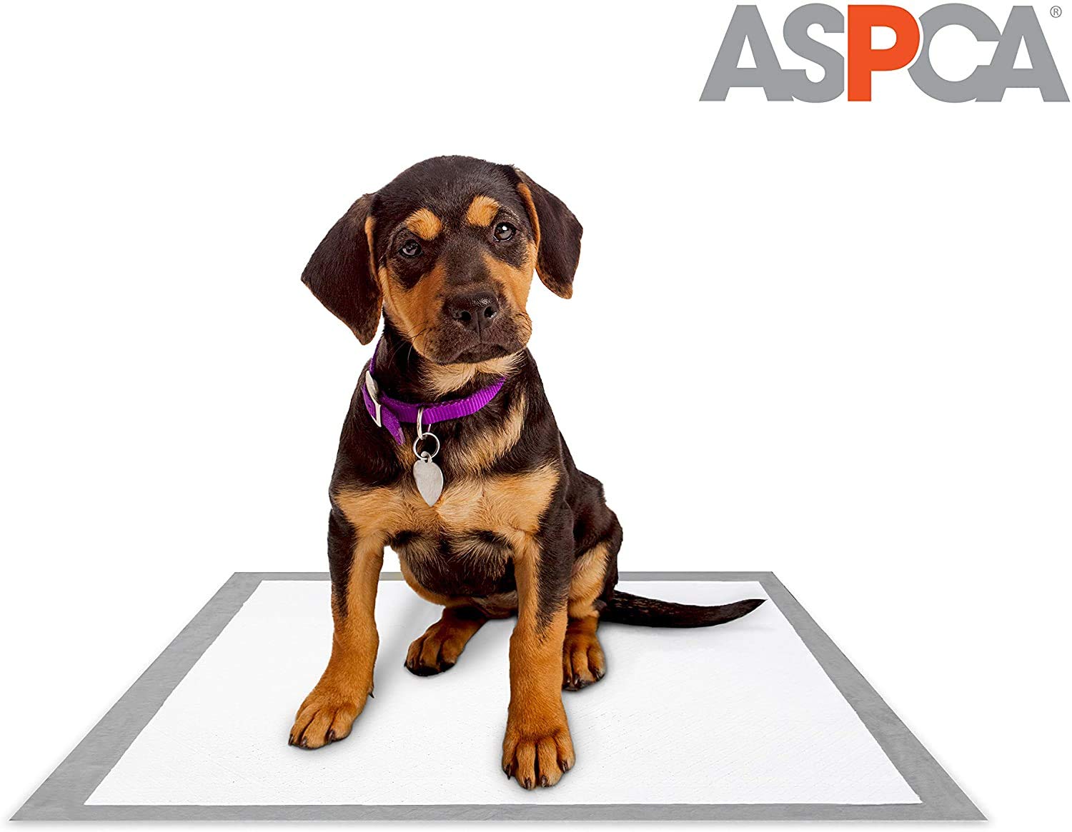 ASPCA Citrus Scented Training Pads, 22" x 22", Gray, 100 Pack, Model AS62931