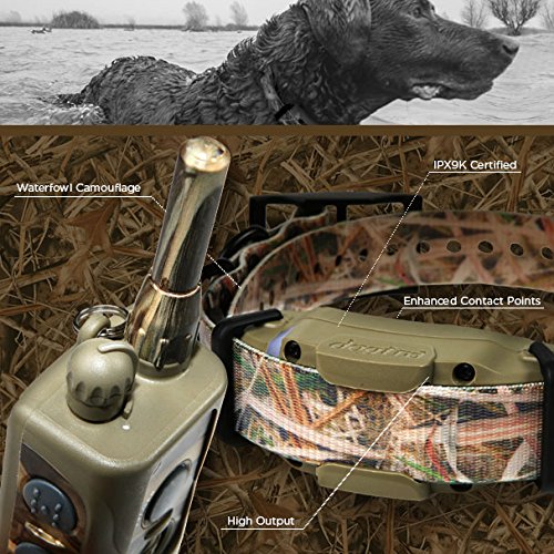 Dogtra 1900S Wetlands Camo Remote Training Collar - 3/4 Mile Range, Ipx9K Waterproof, Rechargeable, 127 Training Levels, Vibration - Includes Petstek Dog Training Clicker