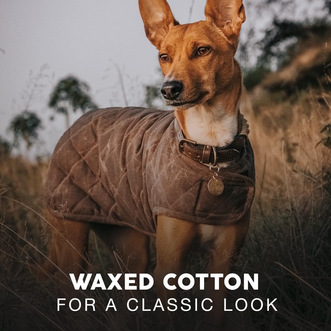 Embark Pets Wax Dog Jacket - Dog Coat To Keep Cozy On Cold Winter Days, Made From Cotton & Polyester, Water Resistant Dog Jackets For Large Dogs, Our Dog Winter Coat Comes In 4 Sizes (Small, Brown)