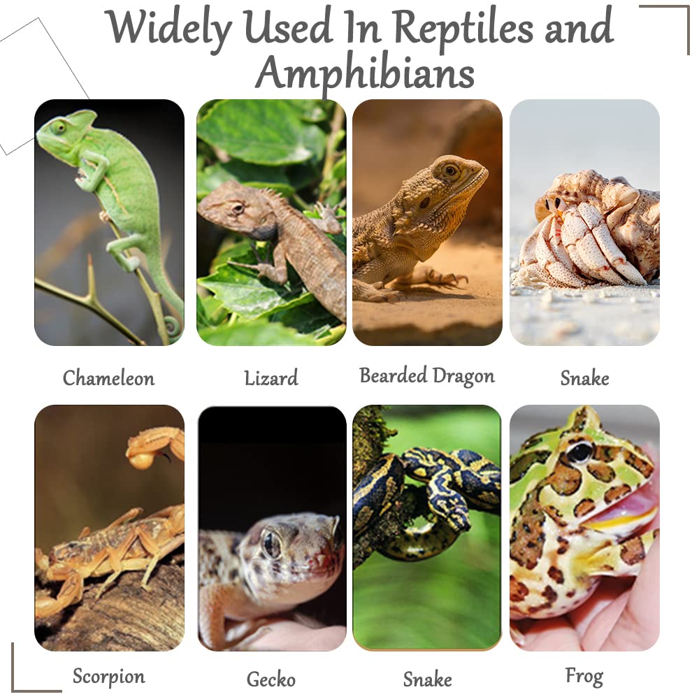 Hamiledyi Reptile Plants Bendable Jungle Climbing Vine Terrarium Branch Flexible Plastic Leaves Hanging Pet Habitat Decoration For Bearded Dragon Lizard Gecko Frog Snake Tank Accessories Decor