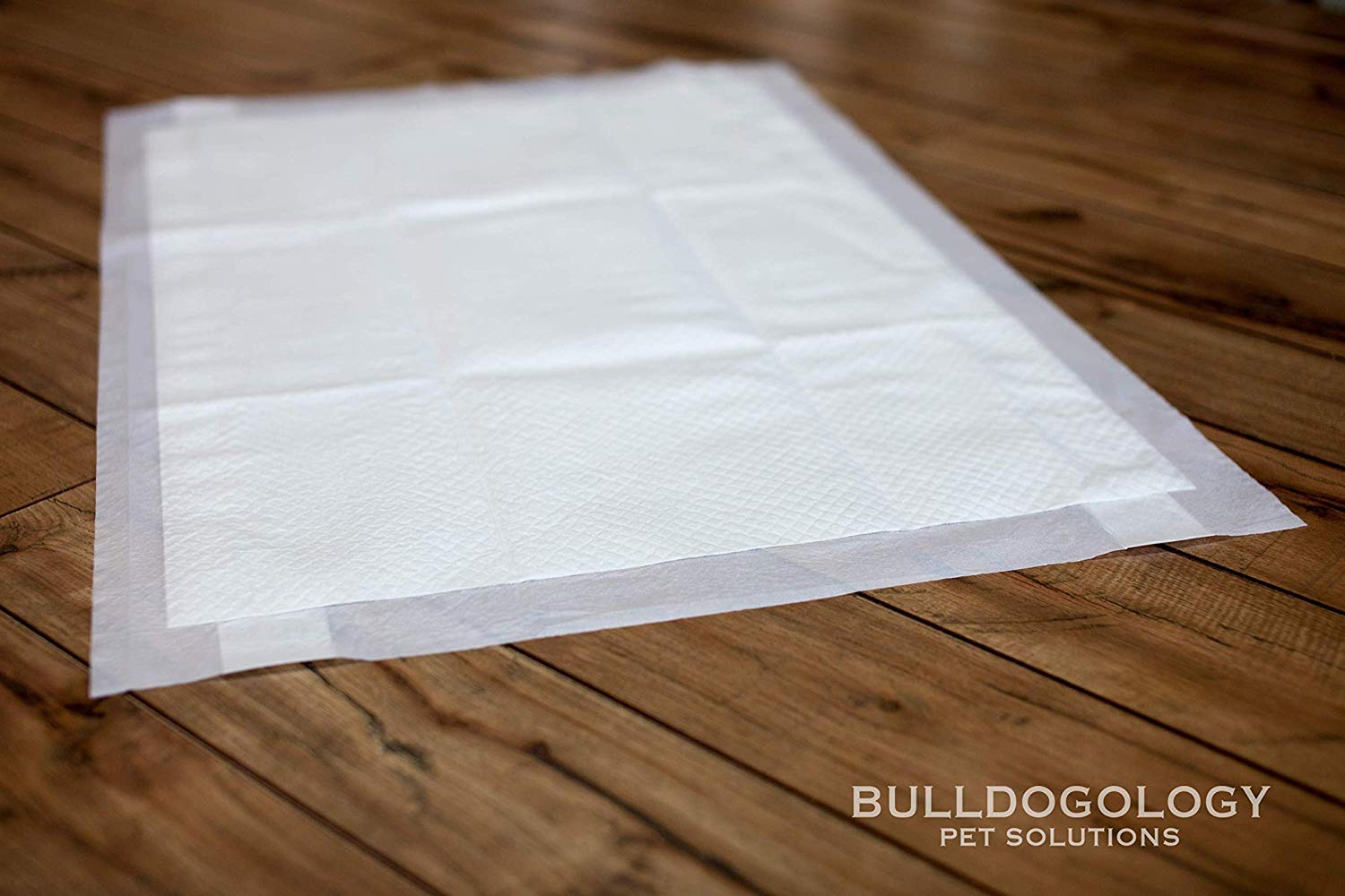 Bulldogology Pee Pads For Dogs Xl With Adhesive Sticky Tape (24X35) Dog Puppy Pads Extra Large, Disposable Puppy Pads, Dog Train