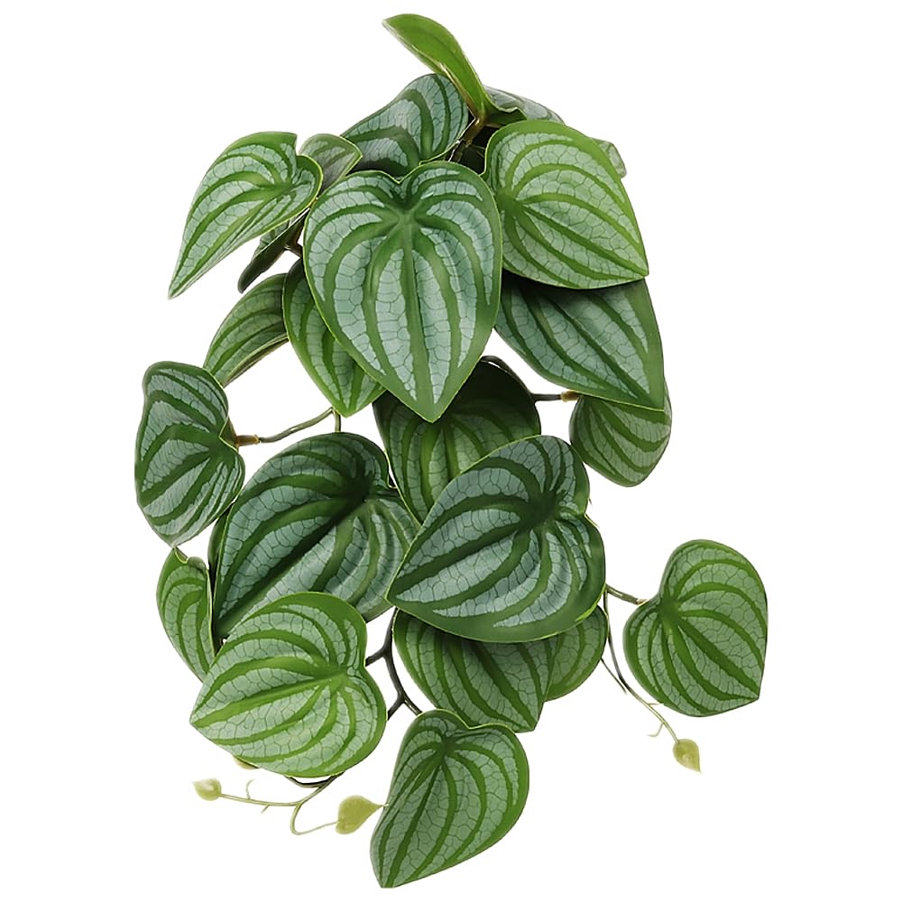 Woledoe Reptile Plants For Terrarium, Amphibian Habitat Decor Artificial Hanging Plants With Suction Cup - Fake Calathea Orbifol