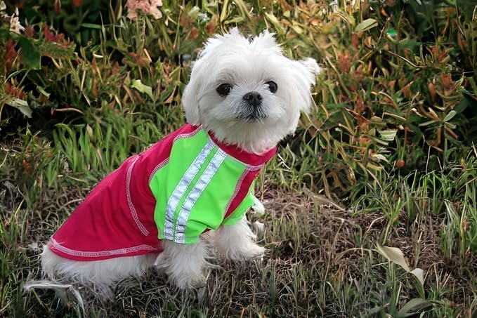 Louie De Coton Dog Clothes | Dog Shirts For Large Dogs | Dog Sunscreen Cooling T-Shirt For Dogs With Upf50+ Max Protection From